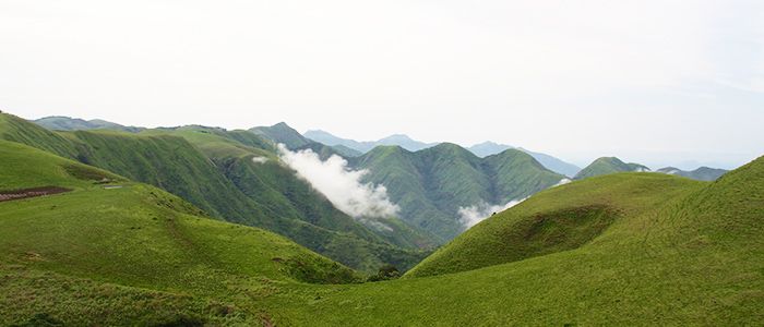 Obudu Mountain