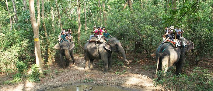 Things to do in Nepal - Chitwan National Park