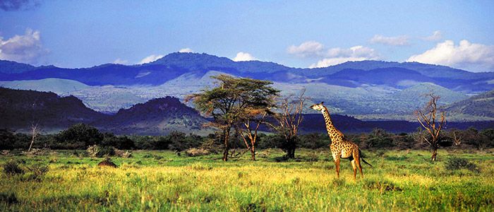 Chyulu Hills, Kenya