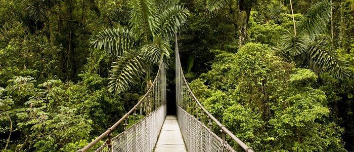 Lekki Conservation Centre, NIgeria