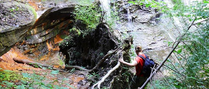 Things To Do In Paraguay - Kavaju Camp