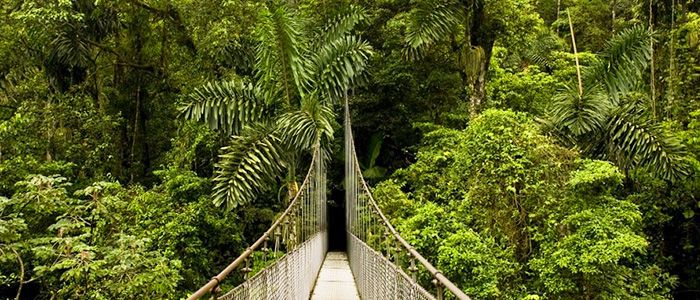 Lekki Conservation Centre, Lagos