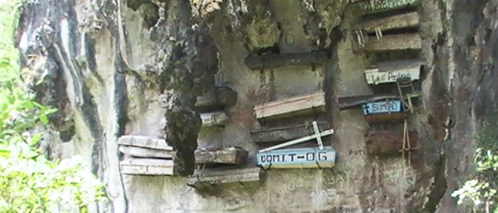 Sub-Img23.jpg