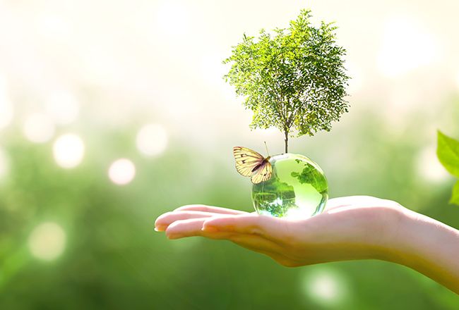 Wander With Purpose: 7 Sustainable Travel Goals For 2024 & Destination Adventures