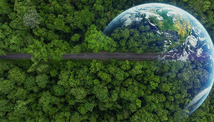 Sustainable Surge