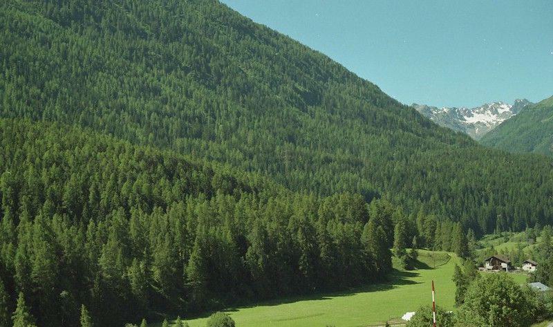 Swiss National park