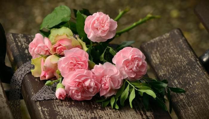 Tabuk Rose Farm