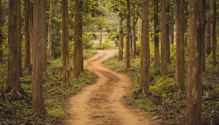 Take The Path Less Taken