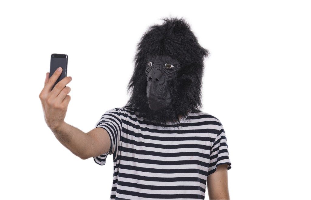 Taking pictures of Gorilla