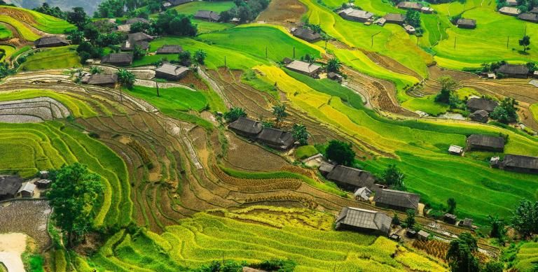 Tegallalang Rice Terrace, Bali
