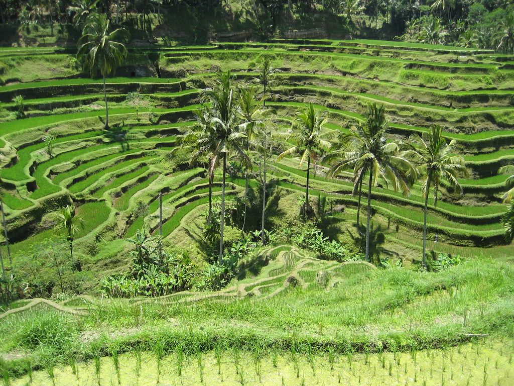 Nature Lovers Guide To Bali : Top 9 Enticing Bucket-List Attractions