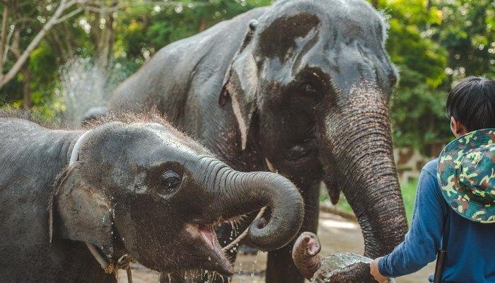Thailand, sustainable travel experiences