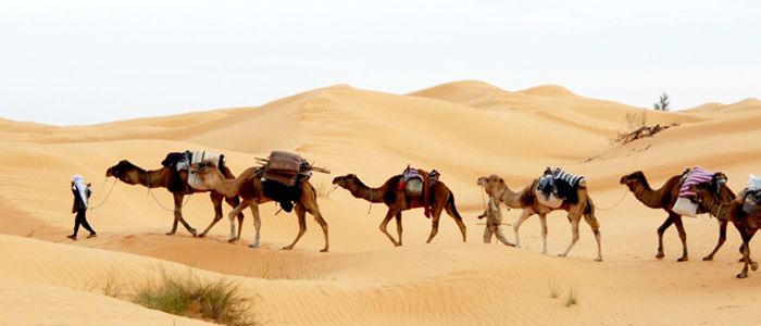 Top 10 Interesting Facts Of Al Ula That Very Few Know About
