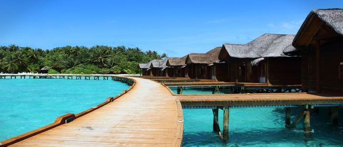 The-Maldives.jpg