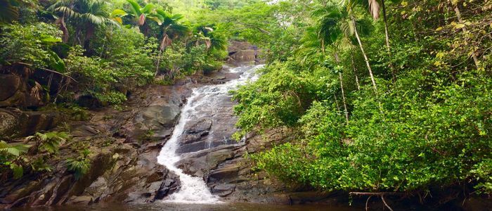The_Seychelles_waterfall.jpg