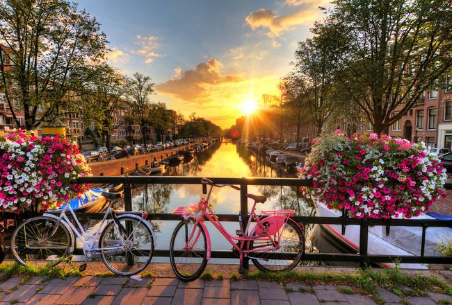 11 Cool And Unusual Things To Do In Amsterdam