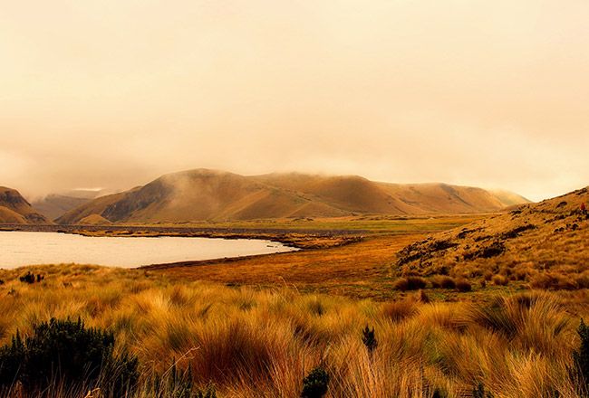 20+ Enriching Things To Do In Ecuador
