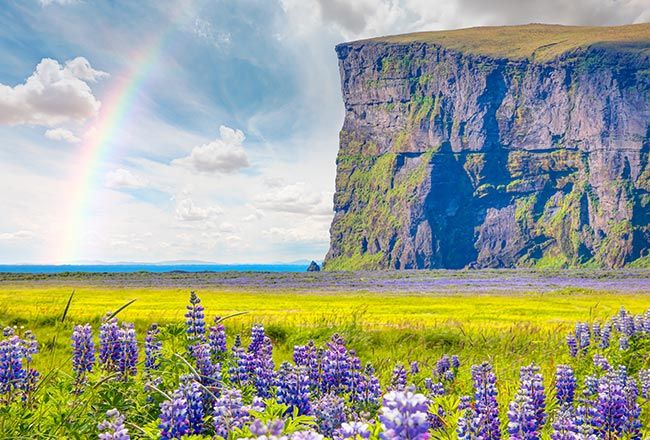 Top 10 Things To Do In Iceland For Your Next Epic Winter Getaway