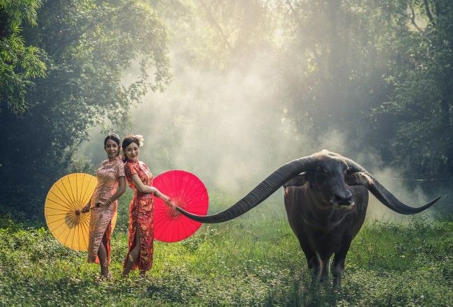 15+ Soul-Soothing Things To Do In Indonesia