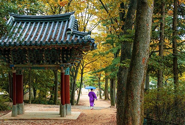 10 Most Alluring Things To Do In South Korea
