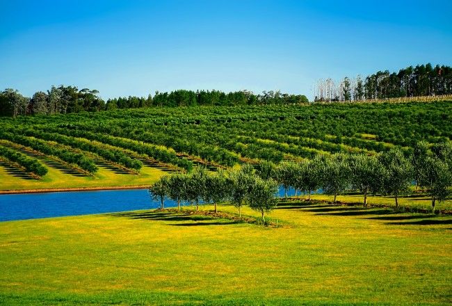 10 Cool And Unusual Things To Do In Uruguay