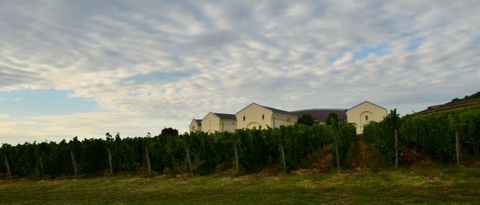 Tokaj-wine-region.jpg