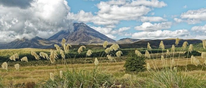 Things To Do In New Zealand - Tongariro National Park