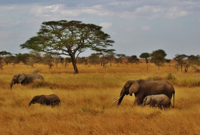 10 Incredible Things To Do In Tanzania