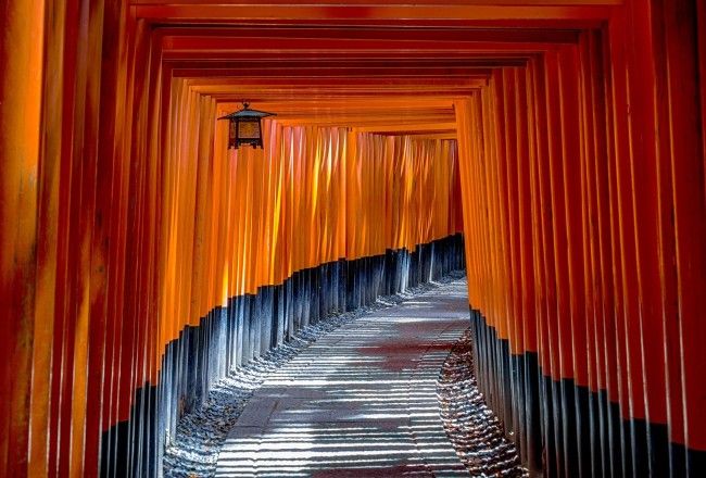 15+ Spectacular Things To Do In Japan