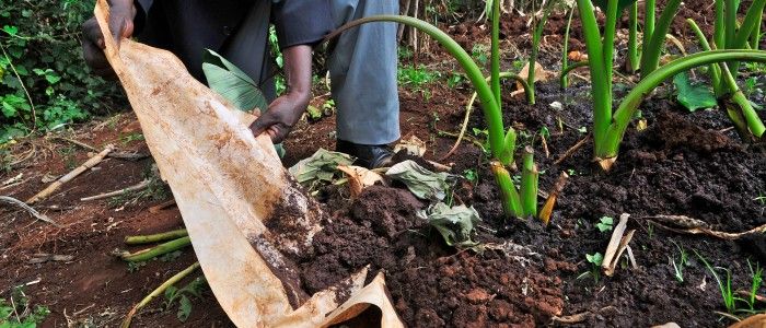 Travel tips on Kenya Ecotourism adventure