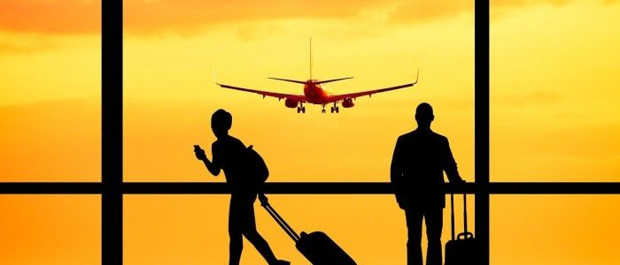 Travelwings