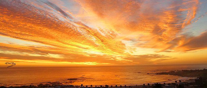 Travelwings, South Africa