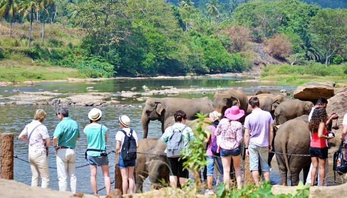 Treat wildlife with respect
