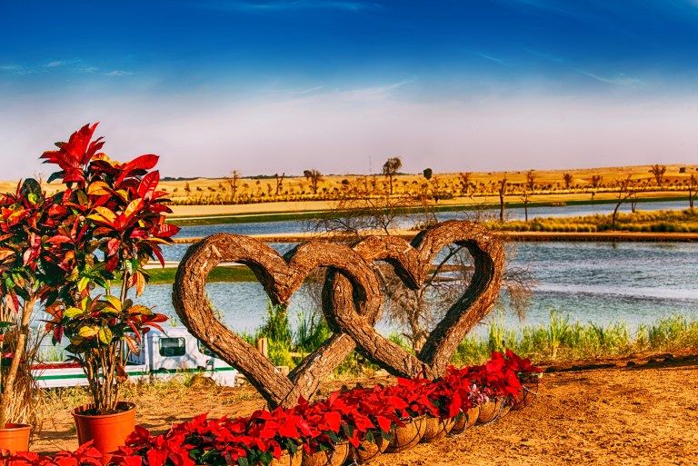 Trees exuding love, Love Lake