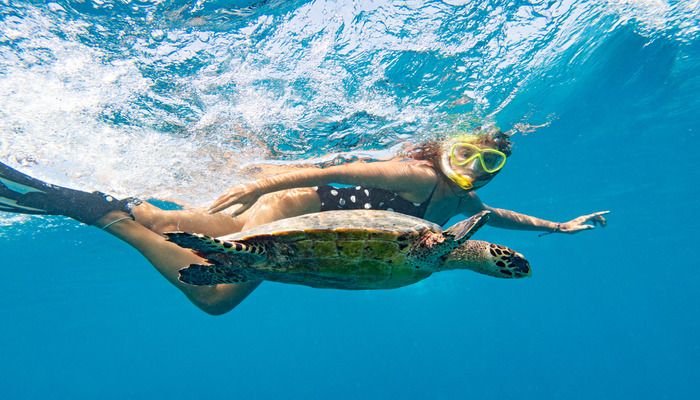 Tumbatu Island Marine Reserve