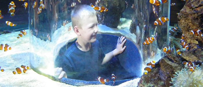 Two Oceans Aquarium