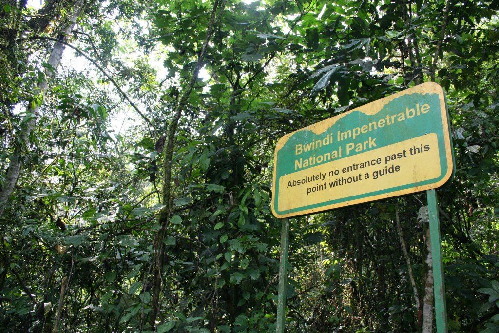 Uganda What is the trekking experience like