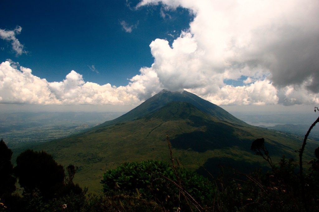 Uganda best gorilla trekking tours