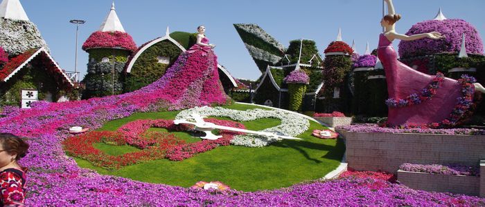 Celebrate Valentine's Day In Dubai - Miracle Garden