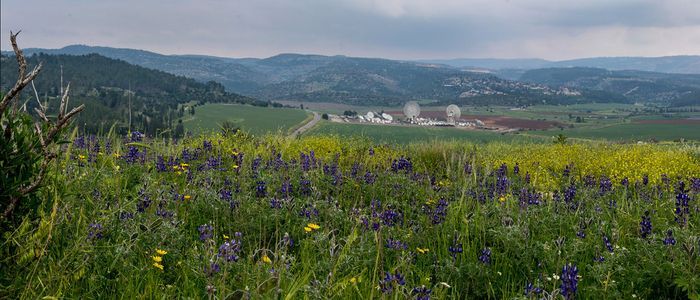 Valley Of Elah, 10+ Best Places To Visit In Israel