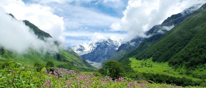Valley-of-flowers.jpg