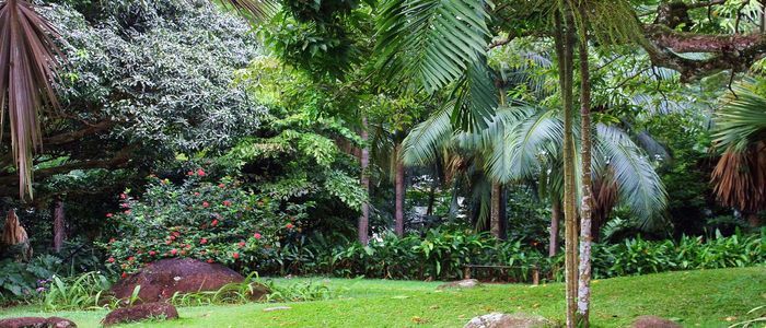 Victoria-Botanical-Garden.jpg