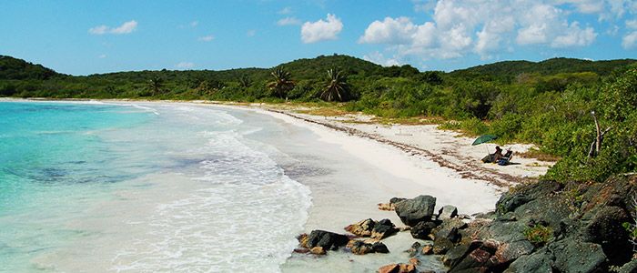 Vieques Island