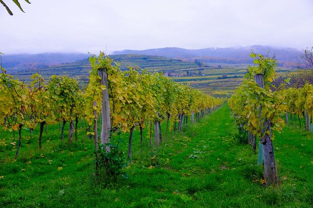 Wachau Valley