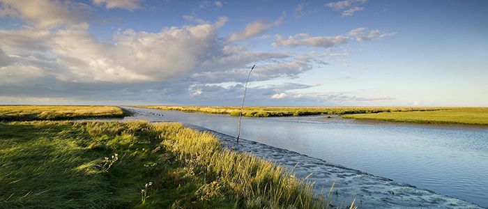 Waddenzee.jpg