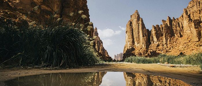 Wadi Al Disah, Saudi Arabia