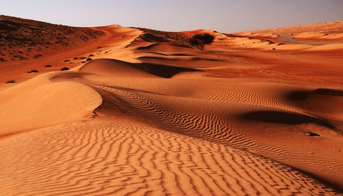 Wahiba Sands, things to do in Oman