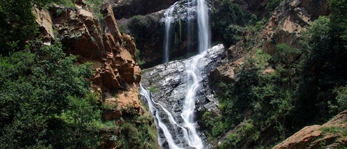 Walter Sisulu National Botanical Gardens, Johannesburg