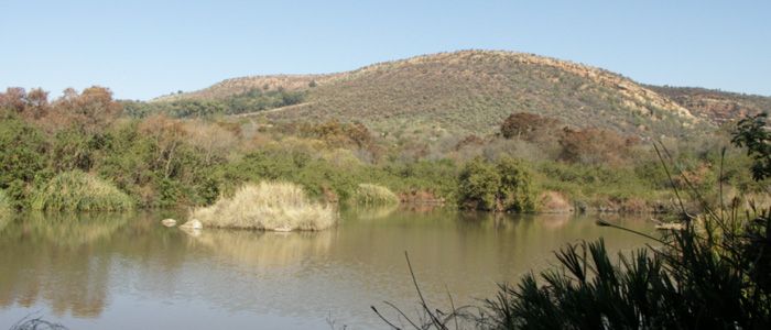 Walter Sisulu National Botanical Gardens, Johannesburg