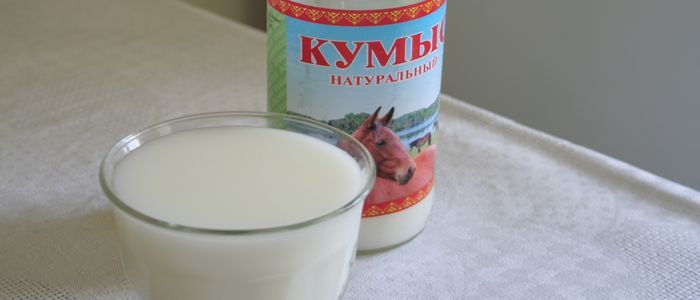 Almaty things to do - warm Kymyz